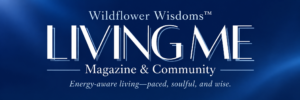 livingme text logo